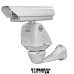 Pelco ES3012-5W 派爾高護(hù)罩云臺(tái)一體機(jī)